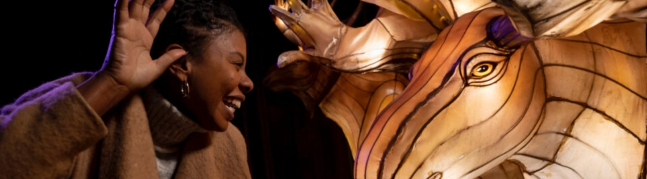 IllumiNights at the Zoo