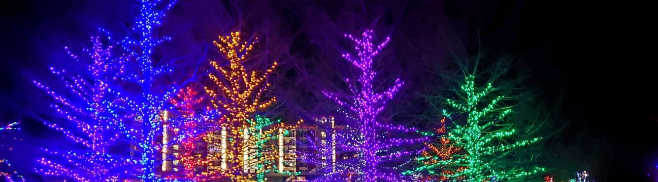 Magical Nights of Lights