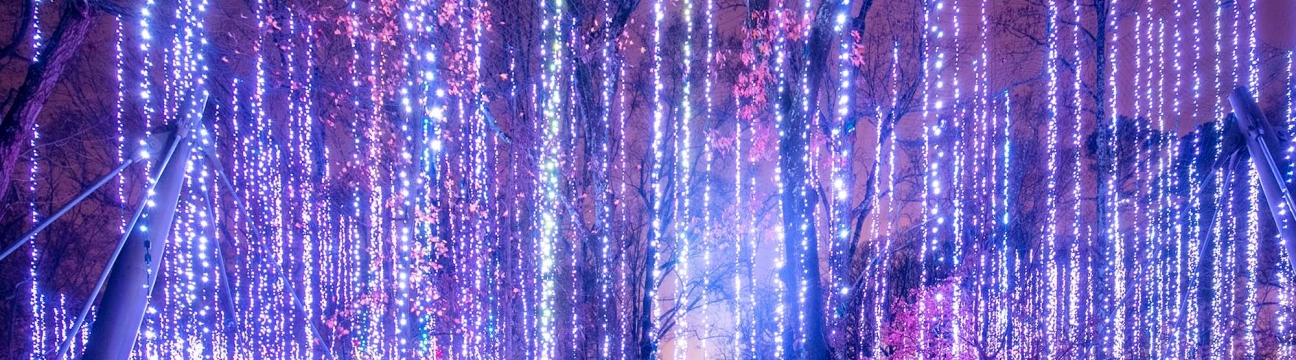 Garden Lights, Holiday Nights